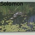 Nat Solomon -  - 